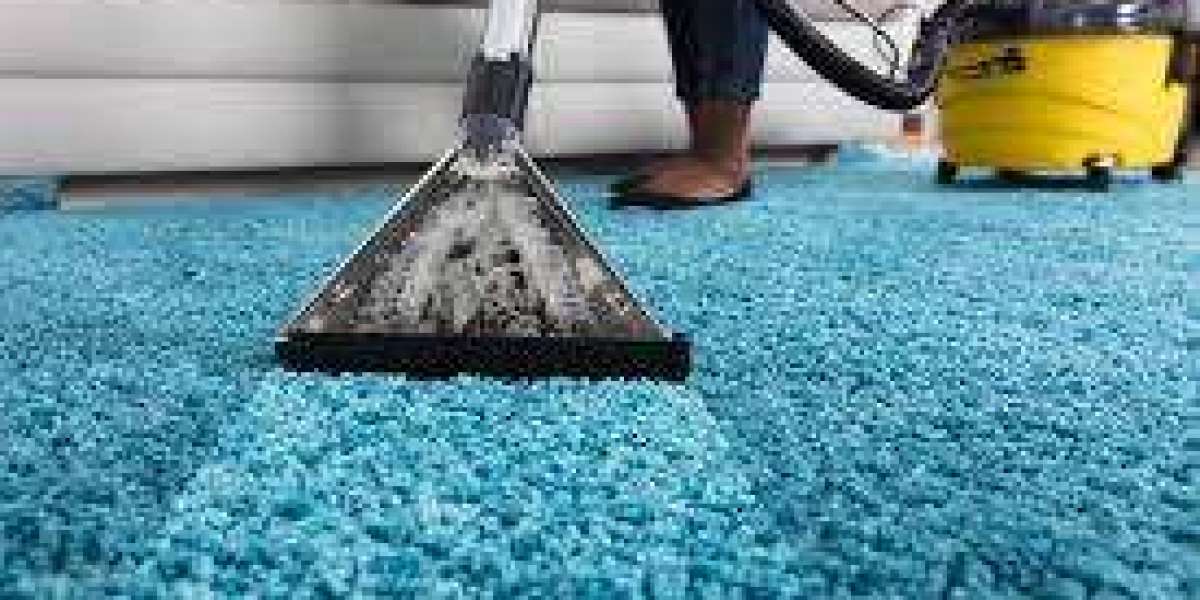 ﻿﻿Carpet Cleaning Services for Homes with Kids